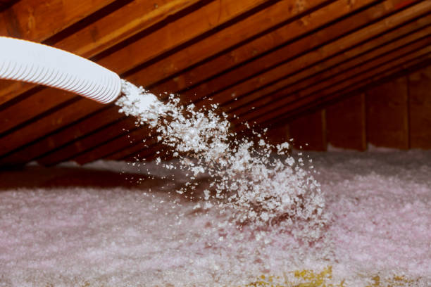 Best Energy-efficient Insulation  in Harbor Beach, MI