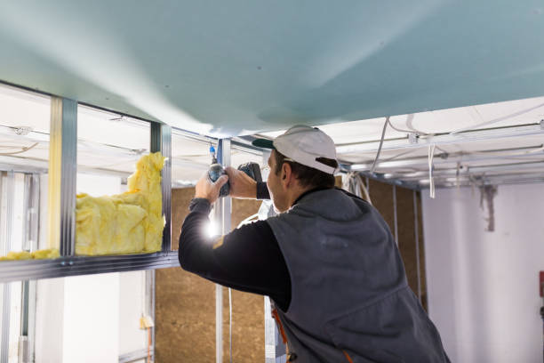 Best Insulation Contractor Near Me  in Harbor Beach, MI