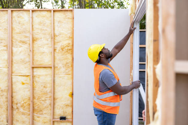 Best Insulation Replacement Services  in Harbor Beach, MI