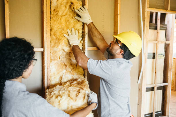 Best Home Insulation Services  in Harbor Beach, MI