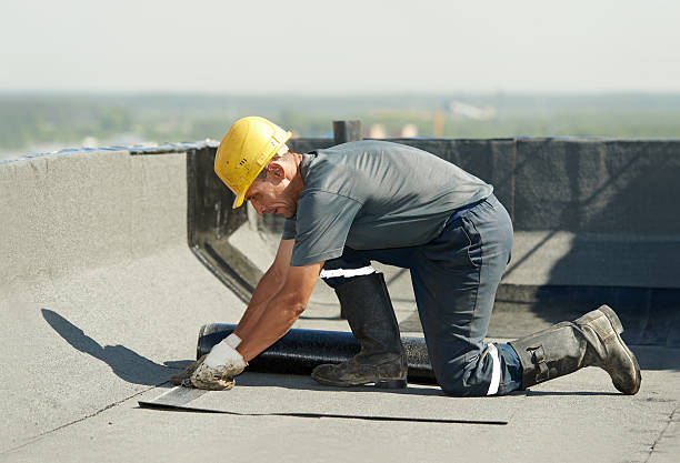 Best Cellulose Insulation  in Harbor Beach, MI