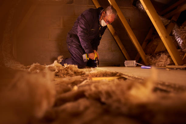 Best Residential Insulation Services  in Harbor Beach, MI